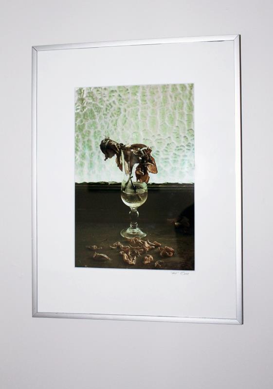 542826_530828150273842_2122273015_n